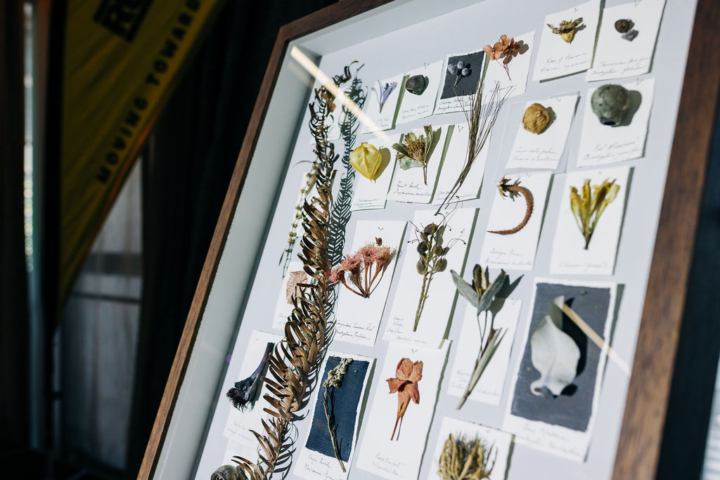 251128-heels-2-heal-18