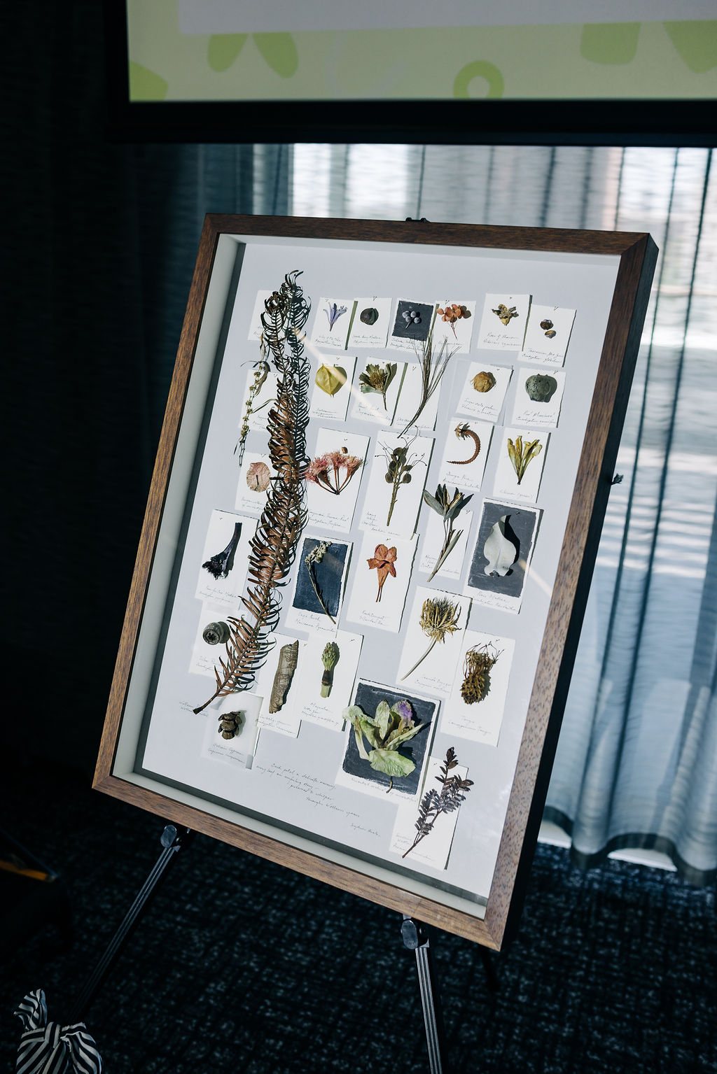 251128-heels-2-heal-19