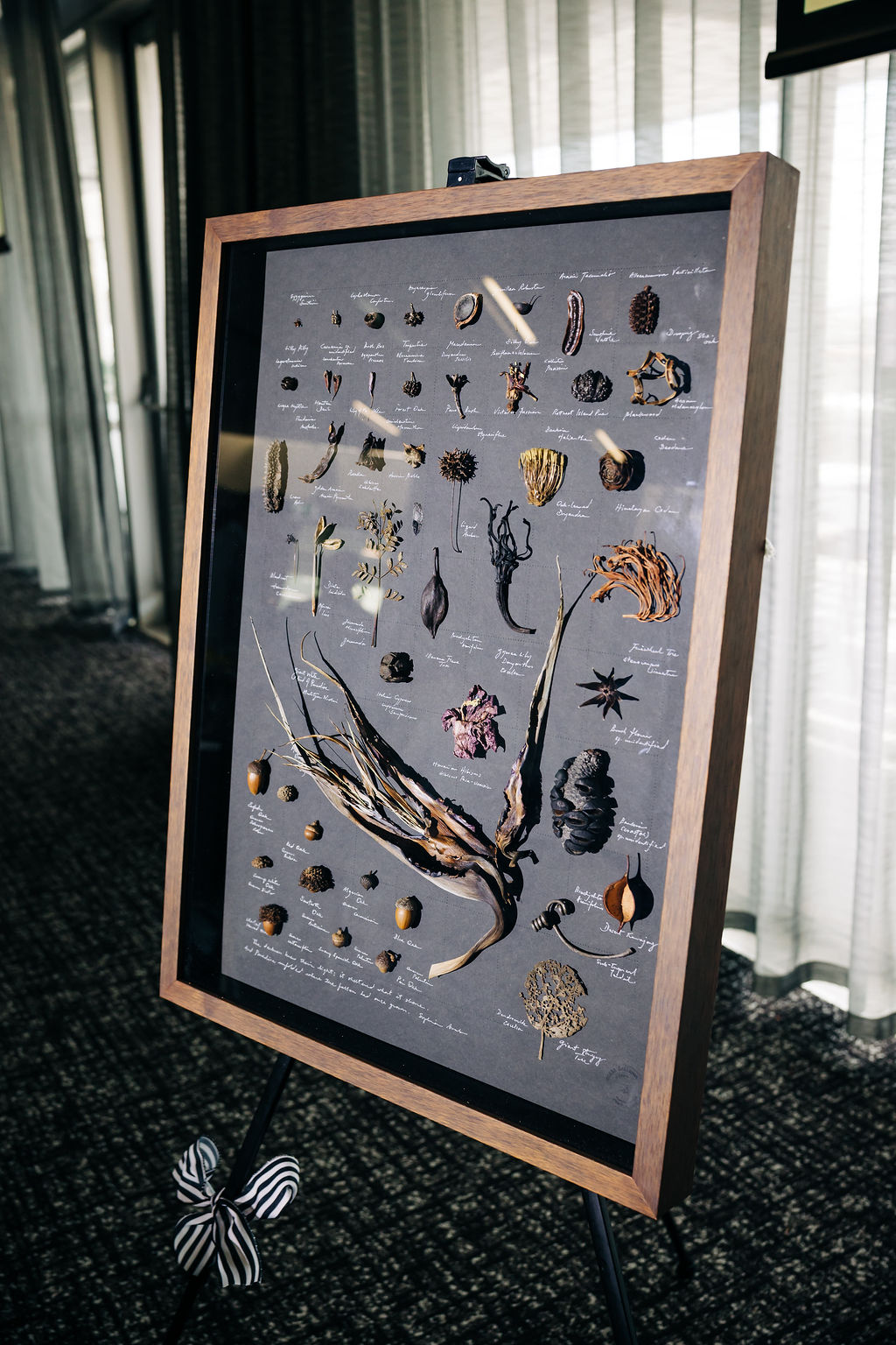 251128-heels-2-heal-242