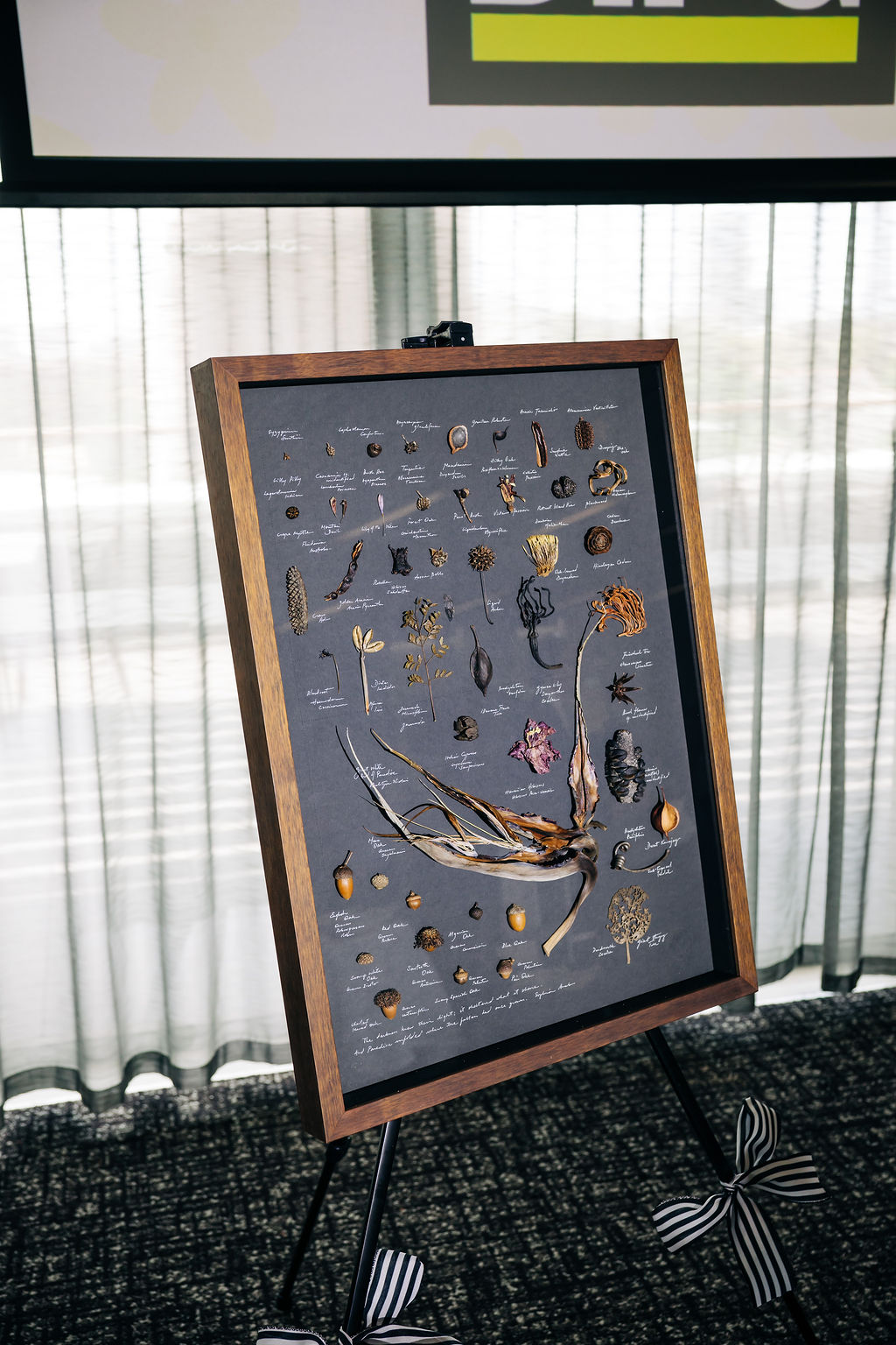 251128-heels-2-heal-243