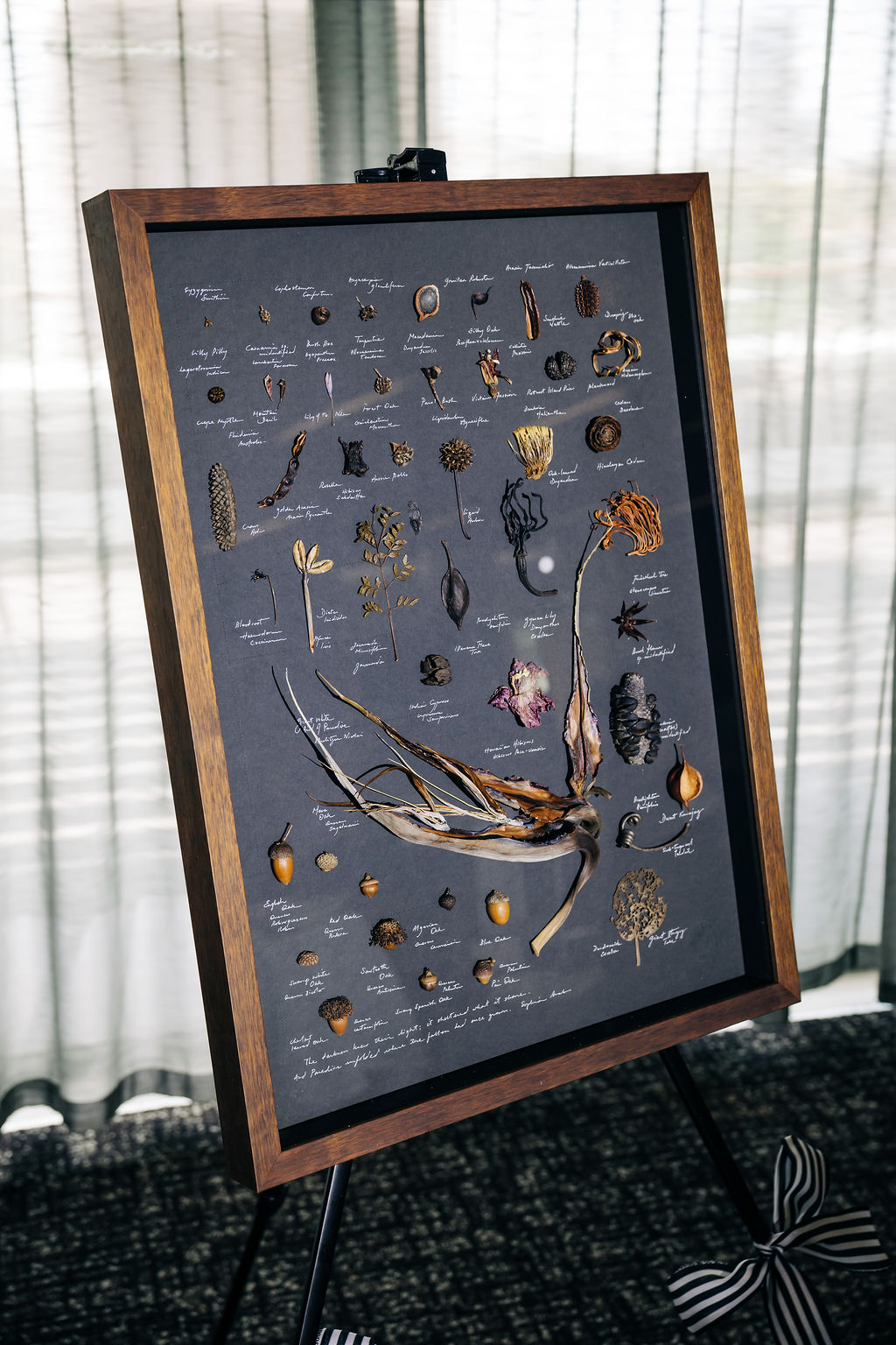 251128-heels-2-heal-244