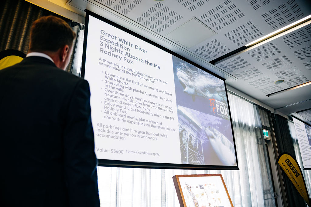 251128-heels-2-heal-295